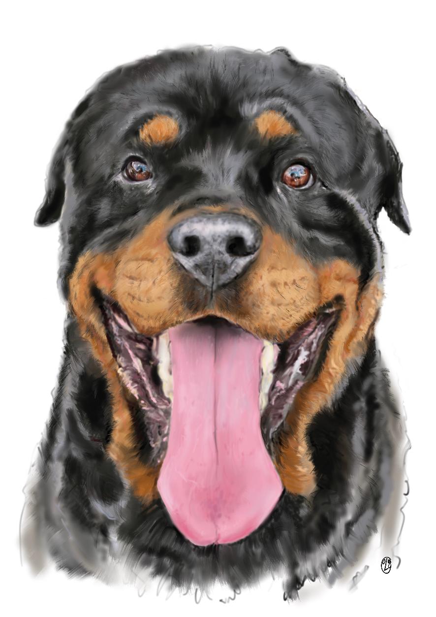 dog portrait produced on the iPad